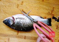 鲫鱼豆腐汤的做法图解4