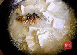 鲫鱼豆腐汤的做法图解21