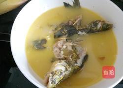 葛鱼汤的做法图解5