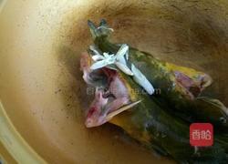 葛鱼汤的做法图解3