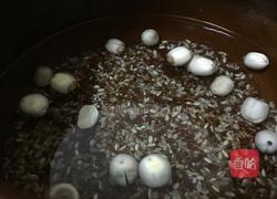 红枣红米补血养颜粥的做法图解5