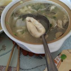 白汤河豚