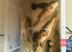 白汤河豚的做法图解1