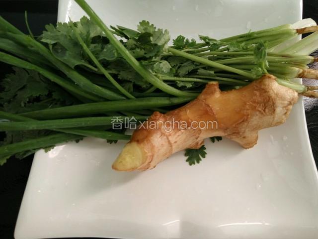 姜葱香菜洗净待用