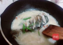 鲫鱼萝卜丝汤的做法图解7