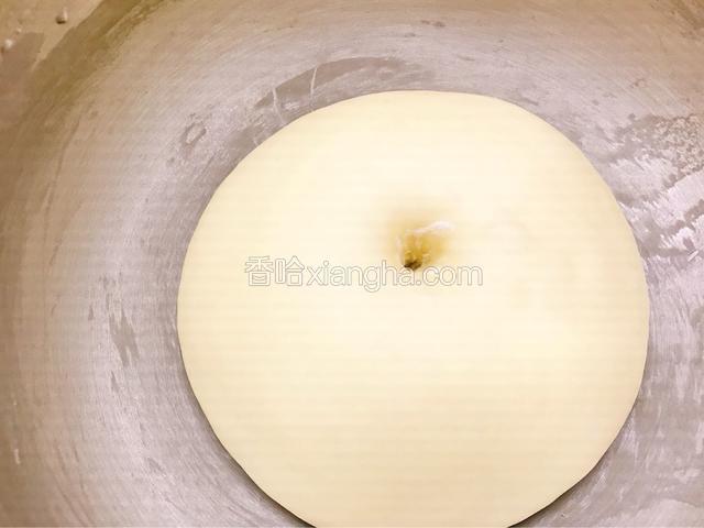 用手沾面粉测试面团。不回缩不塌陷就算成功。