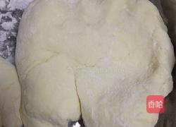 牛肉洋葱馅饼的做法图解4