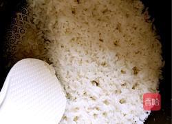 火腿肠炒饭的做法图解2