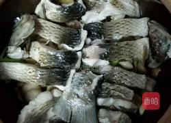 生姜焗鲩鱼的做法图解4