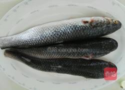 家熬梭鱼的做法图解1