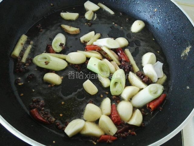 油锅内放适量油，放花椒、干红辣椒、八角、姜丝、蒜块、葱段，炒出香味。