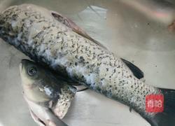 孔雀开屏的做法图解1