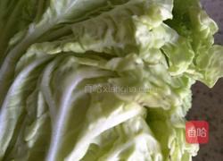 蟹味南瓜白菜小炒的做法图解3