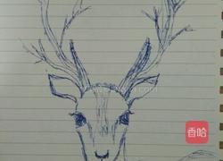 梅花鹿的做法图解1