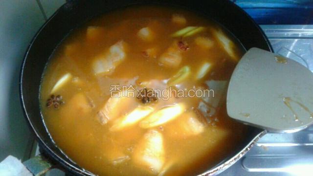 接着加入料酒翻炒一会后，再倒入可以没过肉的开水和几滴白醋，等水烧开后盖锅盖转小火焖炖20分钟。