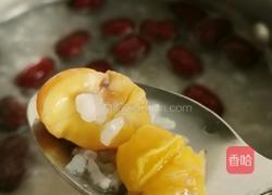 栗子红枣粥的做法图解7