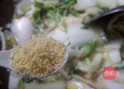 蚝油白菜的做法图解8