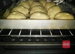 奶香椰蓉小餐包的做法图解5