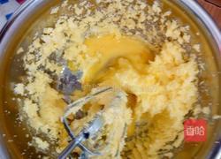 格子饼干的做法图解4