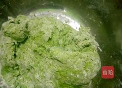 菠菜饺子的做法图解3