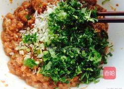 羊肉馅饺子的做法图解8