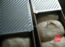 葡萄干土司的做法图解10