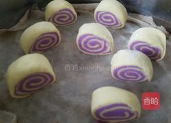 双薯馒头卷的做法图解12