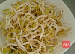 家常炒豆芽的做法图解1