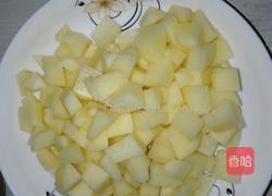 土豆猪肉的做法图解3