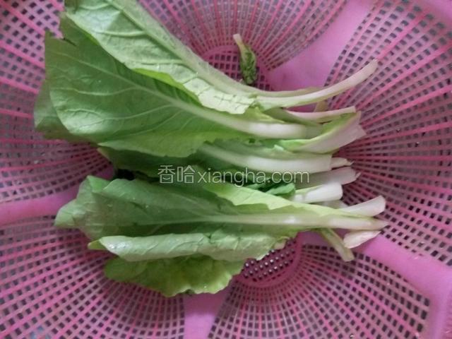 青菜(我用的是小白菜)择洗干净