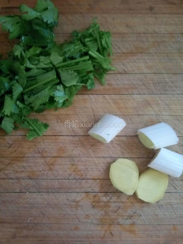 香菜择洗干净切成寸断，葱切段，姜切片