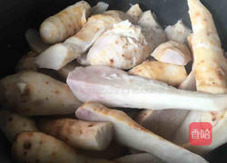 萝卜苗煮小芋头的做法图解3