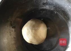 云南破酥包子的做法图解2
