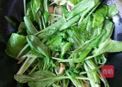 小白菜猪肉豆腐汤的做法图解4