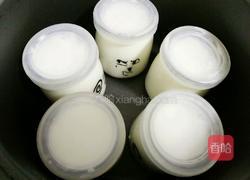 电饭锅自制酸奶的做法图解7