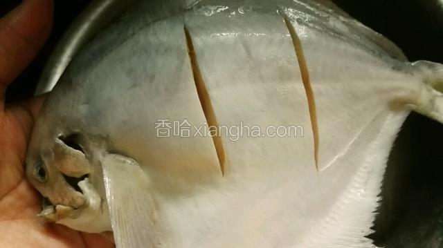 鱼身两面划俩刀。