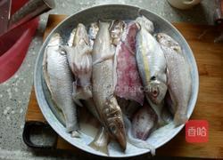 杂鱼煲的做法图解2