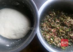 芹菜猪肉饺子的做法图解8
