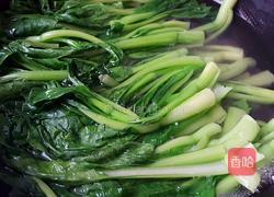 耗油菜心的做法图解2
