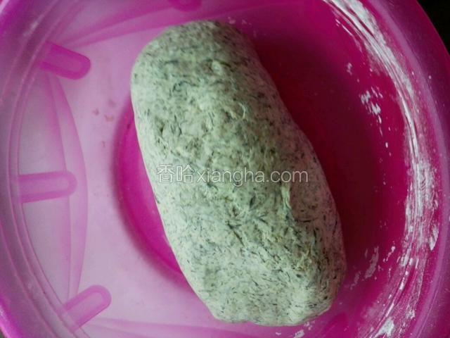 煮好的清明花加面粉，糯米粉揉厂成团