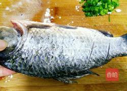 红烧鲫鱼的做法图解3
