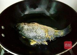 红烧鲫鱼的做法图解5