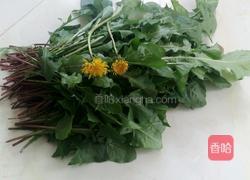 蒲公英煎蛋的做法图解1