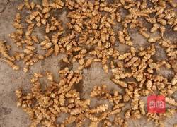 腌洋姜的做法图解2