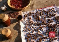 腌洋姜的做法图解3