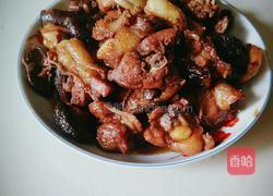 香菇炖鸡的做法图解9
