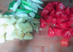 番茄土豆炖牛蹄肉的做法图解5