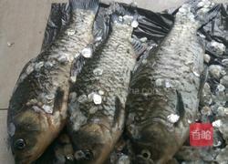 豆瓣酱烧鱼的做法图解1