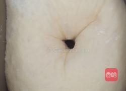 奶棒椰蓉面包的做法图解4