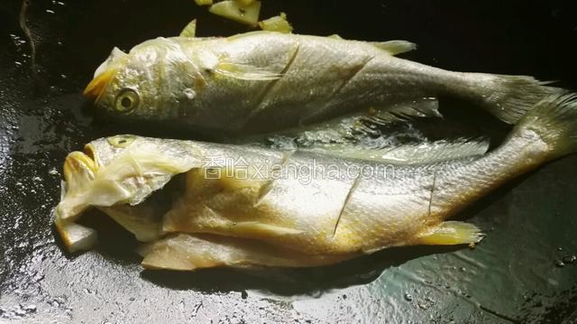 生姜扁出香味，放入小黄鱼。开小火